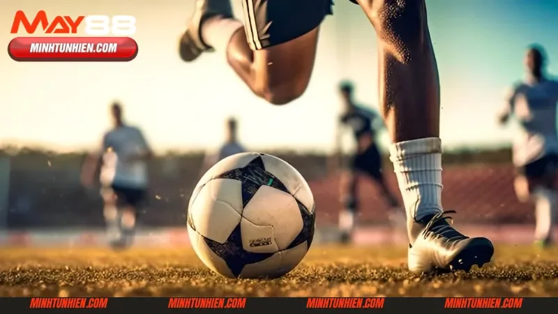 Bật mí các loại cược phổ biến trong K sport tại May88 