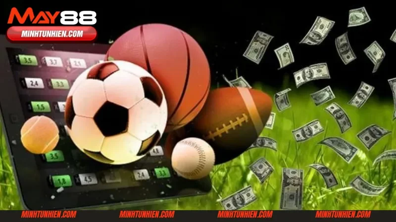 Khám phá chuyên mục thể thao giải trí tuyệt đỉnh